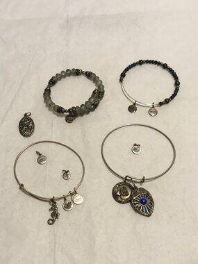 Very nice lot of vintage Alex & Ani charm bracelets and extra charms